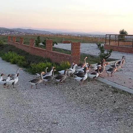 Resort Pepe D'oro Bio